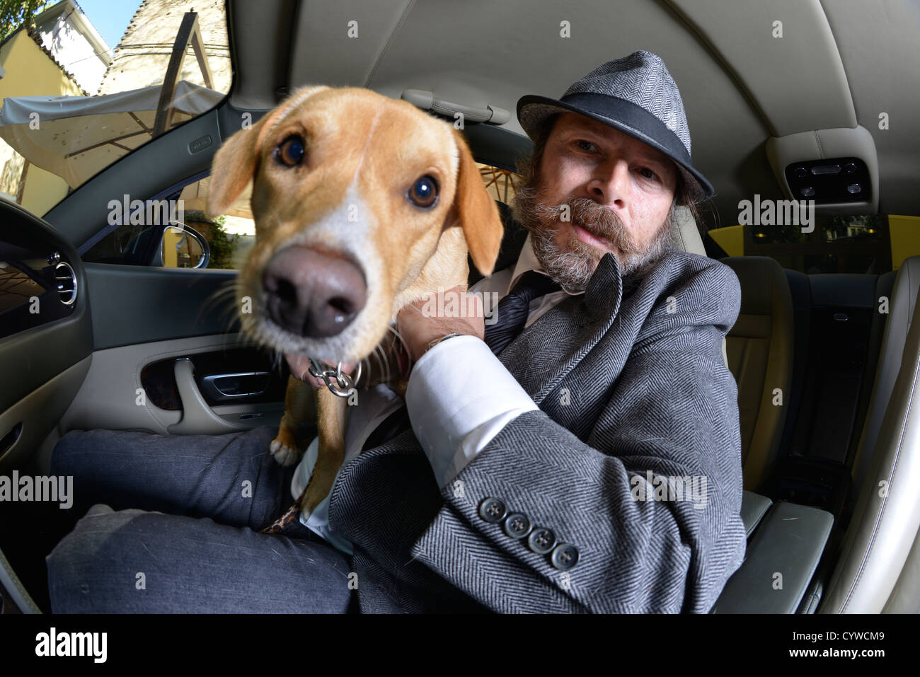 Dog and master Stock Photo - Alamy