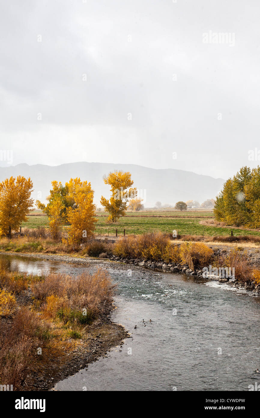 Fall color during a snowstorm at the Truckee River in Wadsworth Nevada Stock Photo