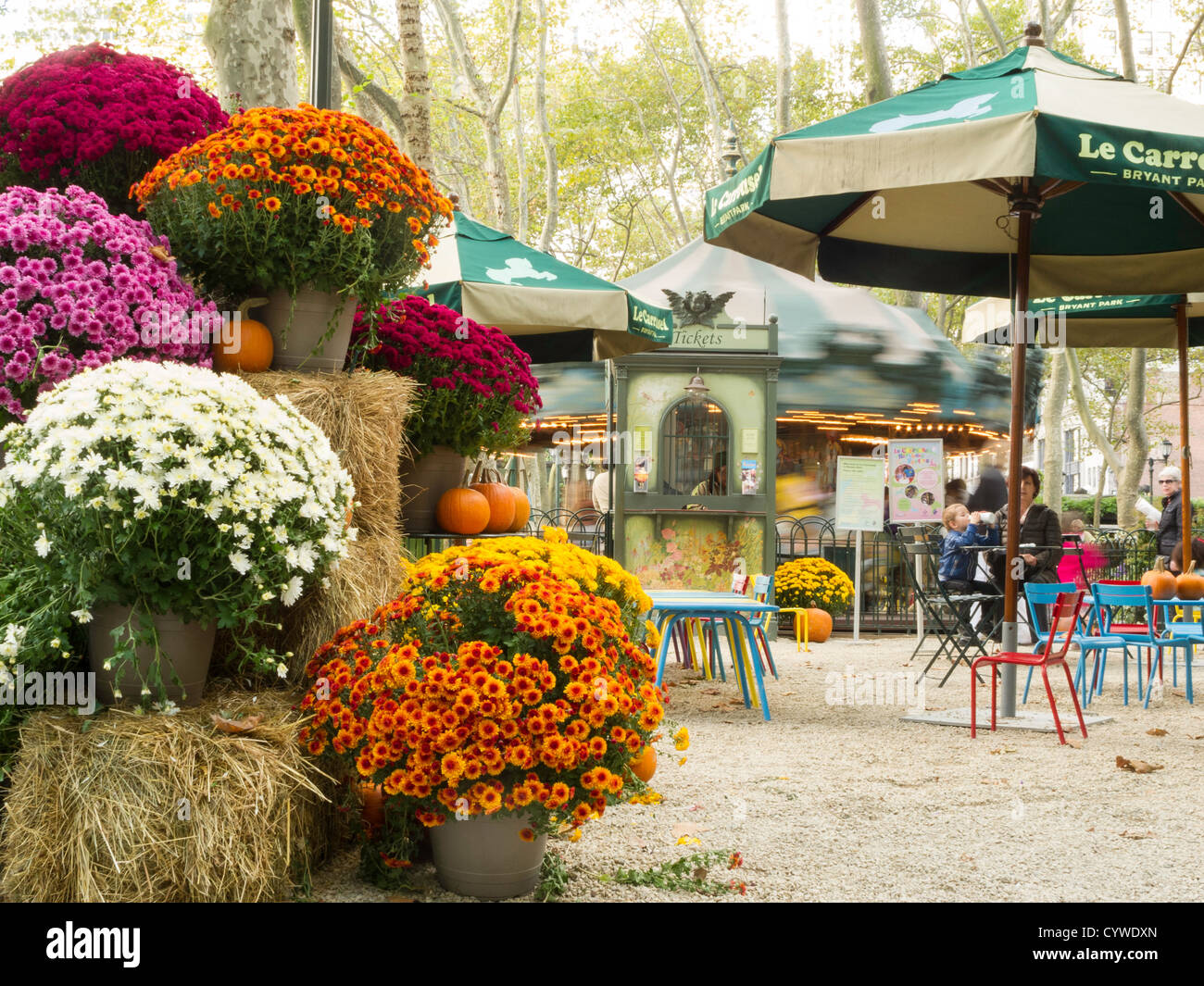 Autumn Flower Display, Bryant Park, NYC Stock Photo