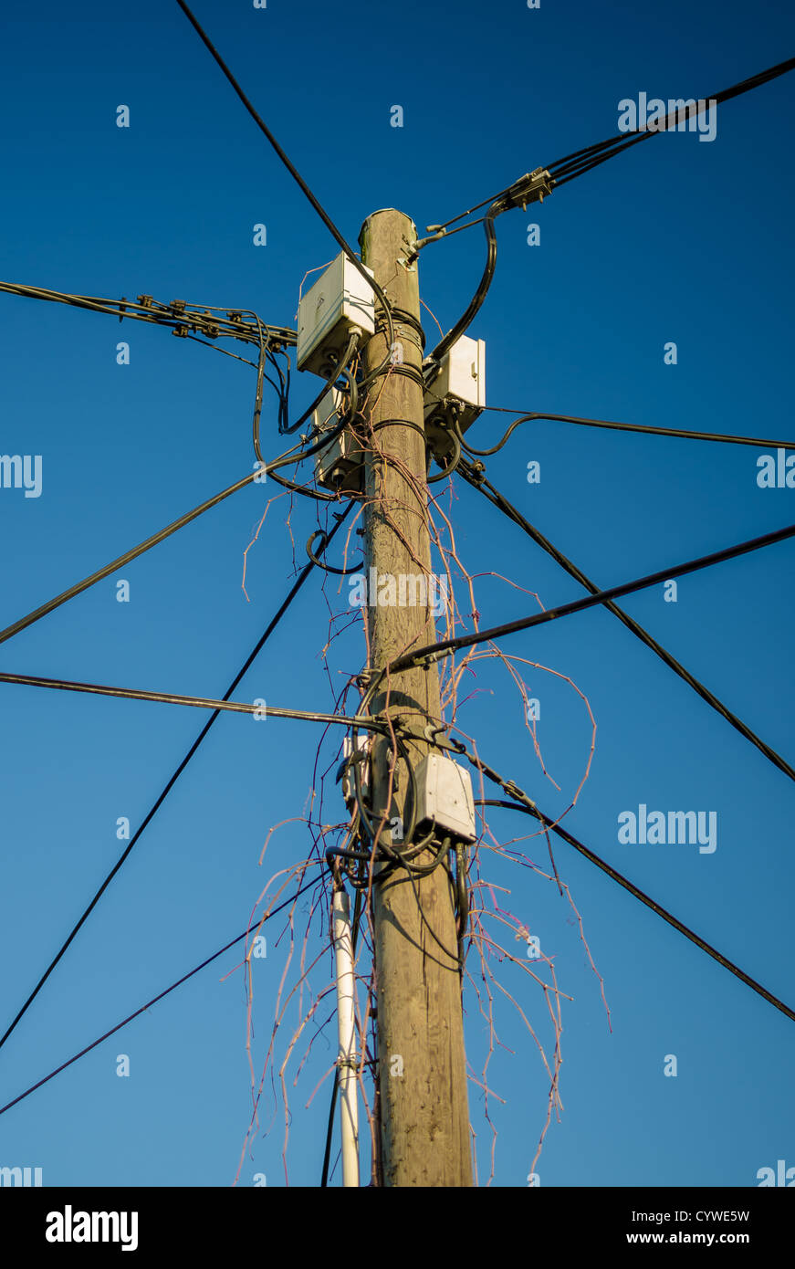Multiple Cables On A High Pole Stock Photo