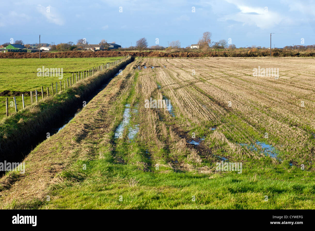 Arable land in winter Stock Photo