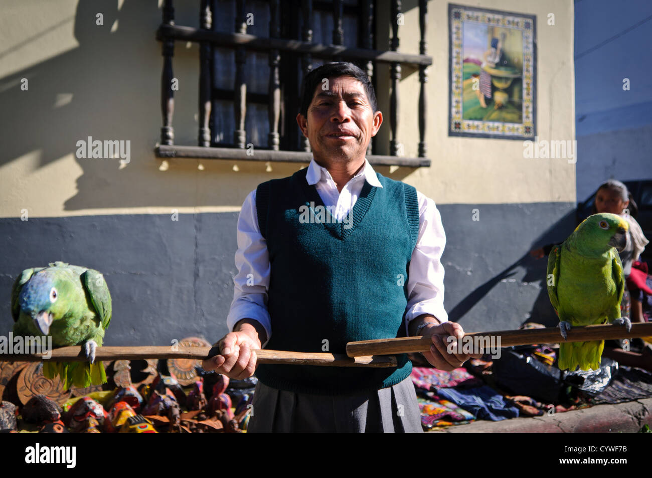 CHICHICASTENANGO, Guatemala - A man poses with parrots. Chichicastenango is an indigenous Maya town in the Guatemalan highlands about 90 miles northwest of Guatemala City and at an elevation of nearly 6,500 feet. It is most famous for its markets on Sundays and Thursdays. Stock Photo