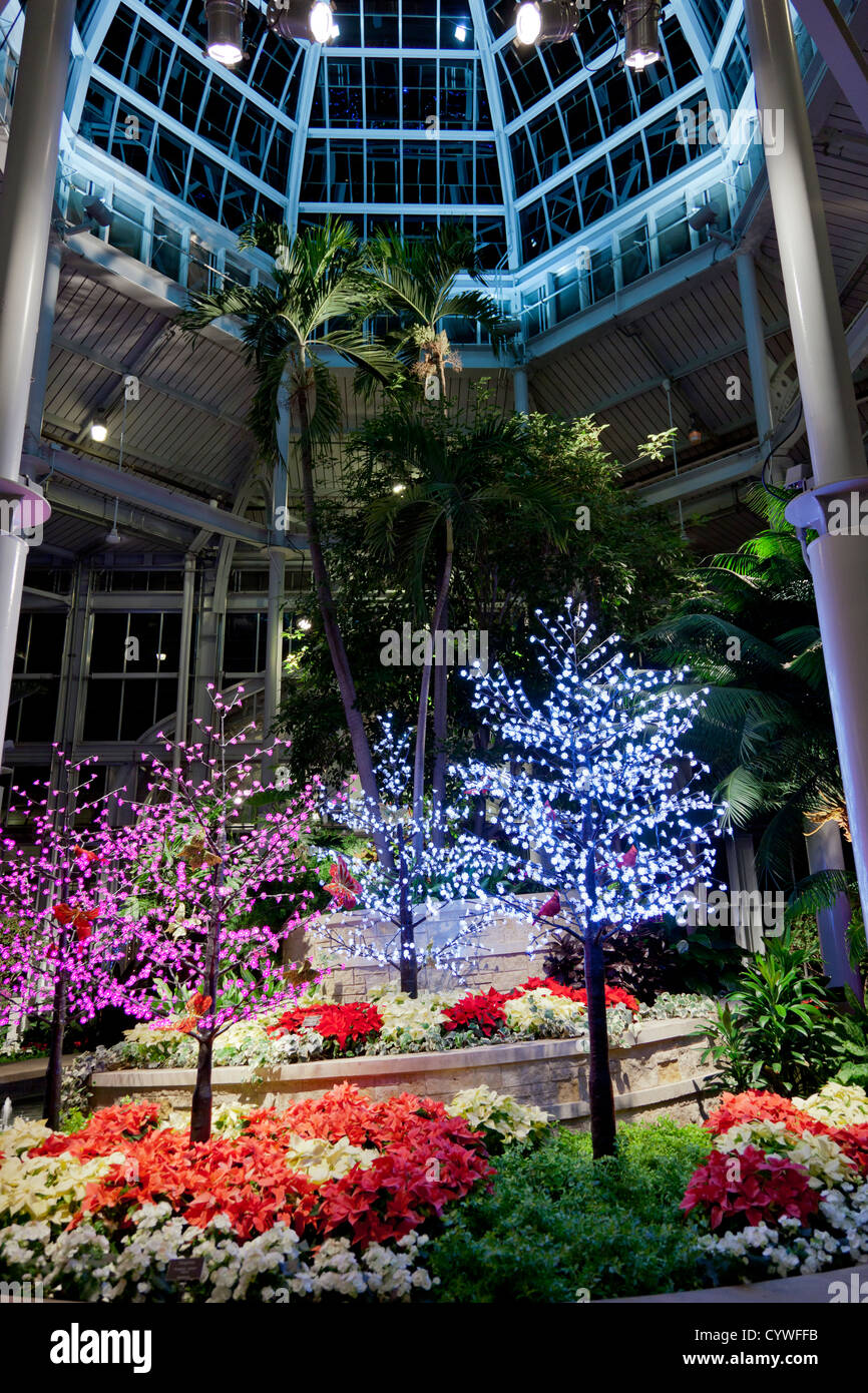 The holiday decorations inside the Conservatory at Lewis Ginter