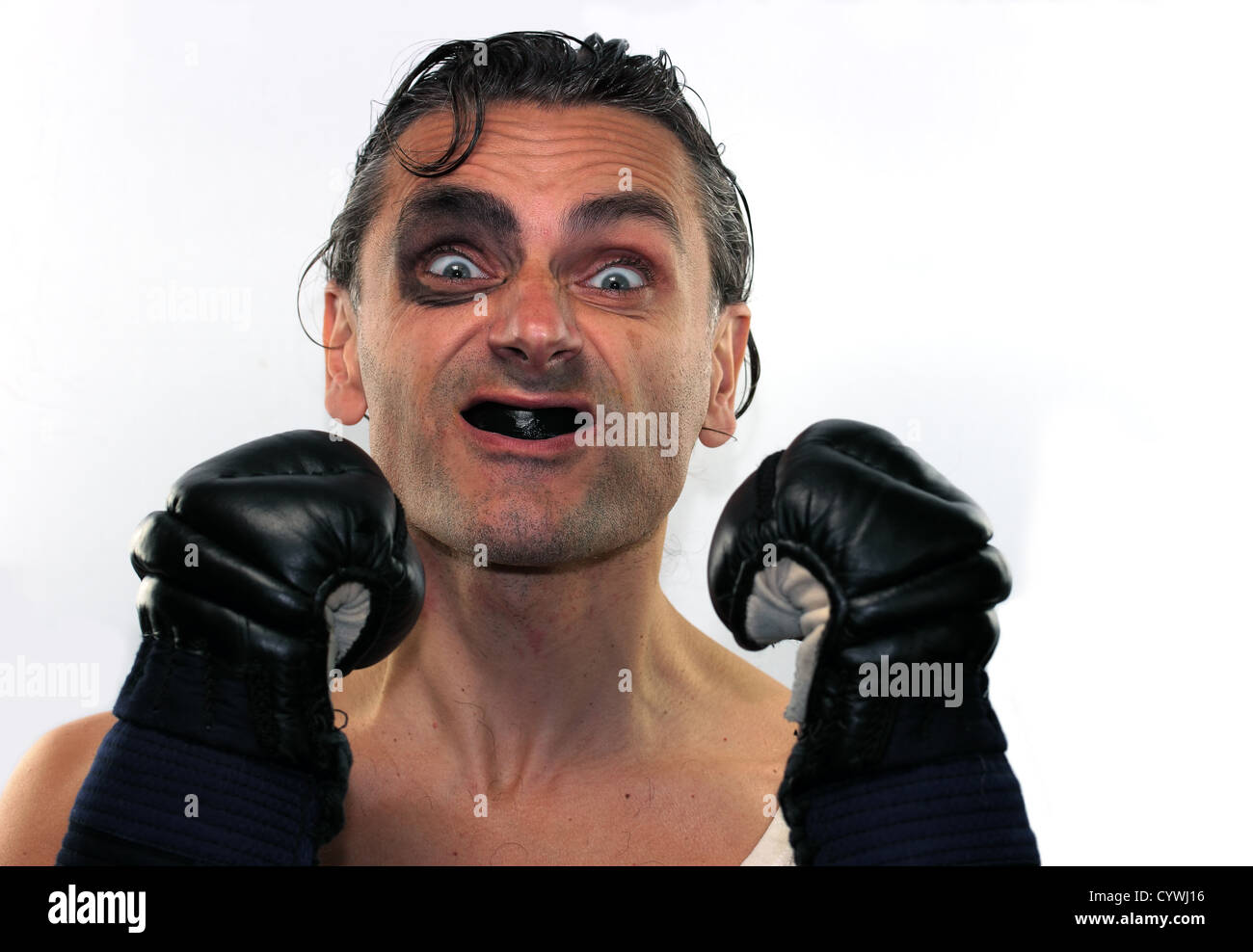 Funny boxer man with boxing gloves on white background Stock Photo Alamy