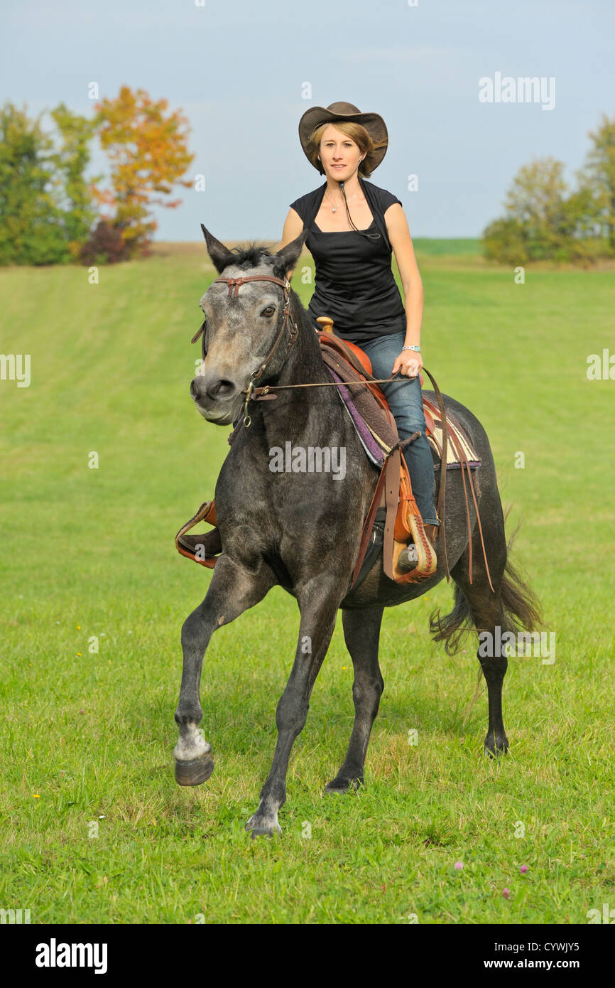 Riding western style on back of a Connemara pony Stock Photo