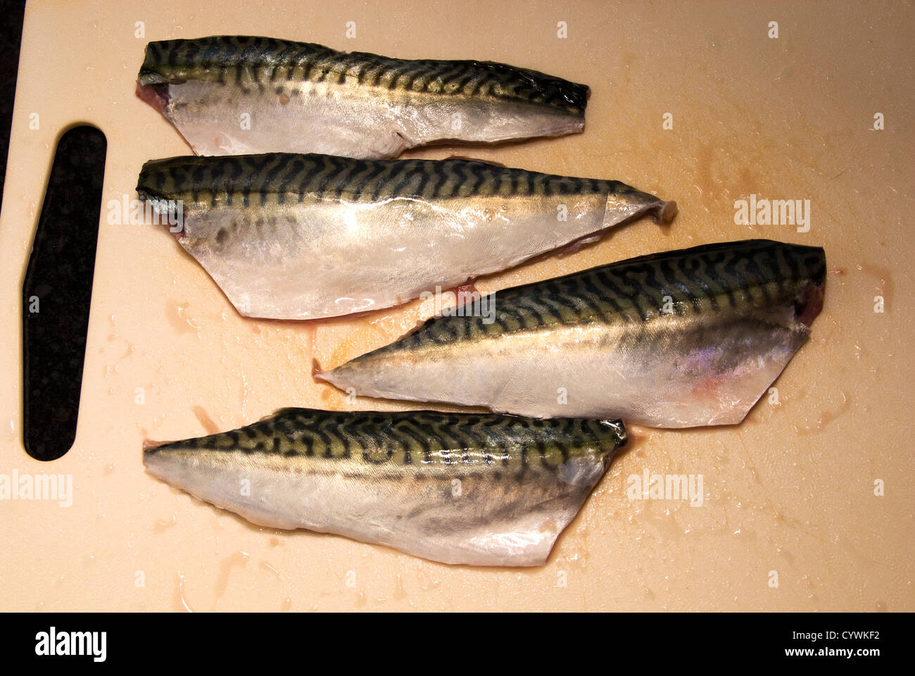 Mackerel fish that has been filleted Stock Photo - Alamy