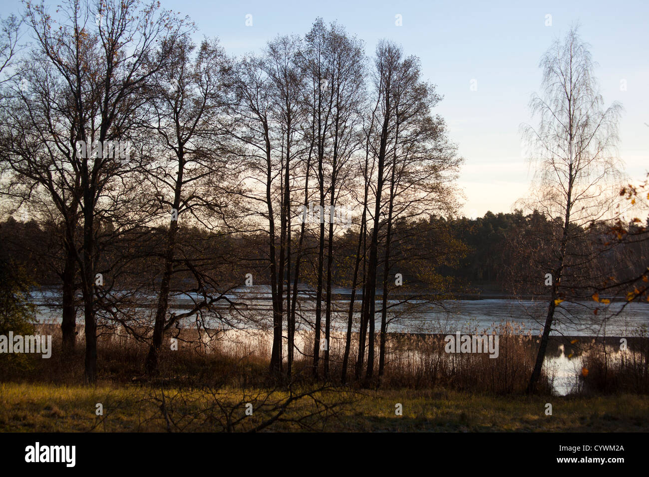 Kottlasjön, Kottla lake, Lidingö (Sweden) Stock Photo