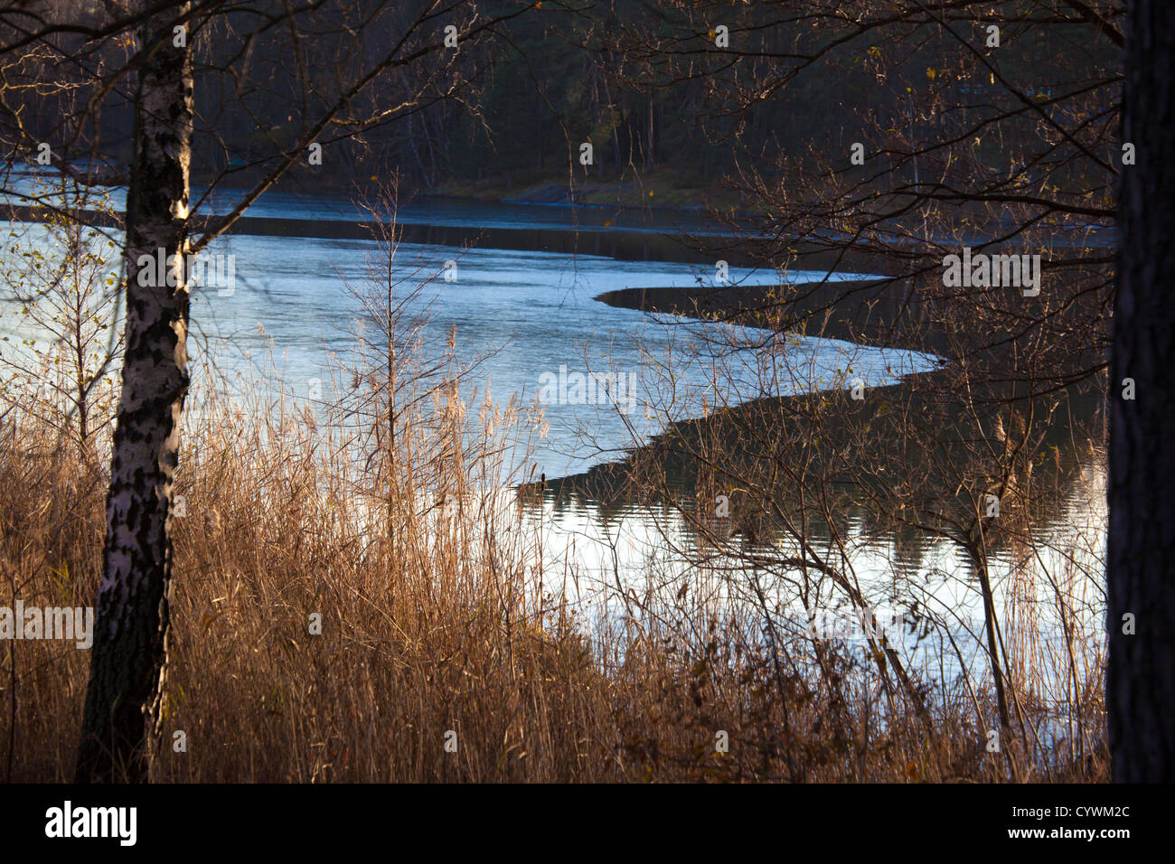 Autumn motif from the island of Lidingö near Stockholm Stock Photo