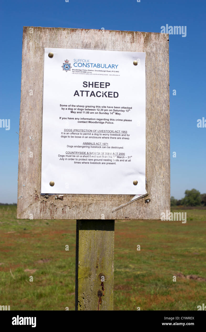 Sheep attacked notice posted by Suffolk Police, Sutton Heath, Suffolk ...