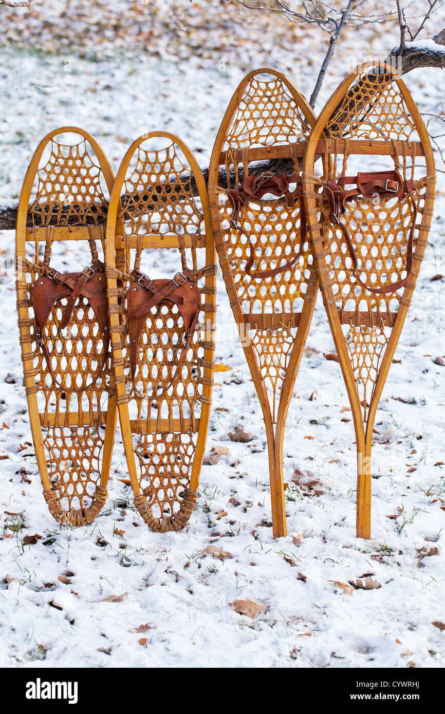 Bear Paw and Huron vintage wooden snowshoes with leather binding Stock