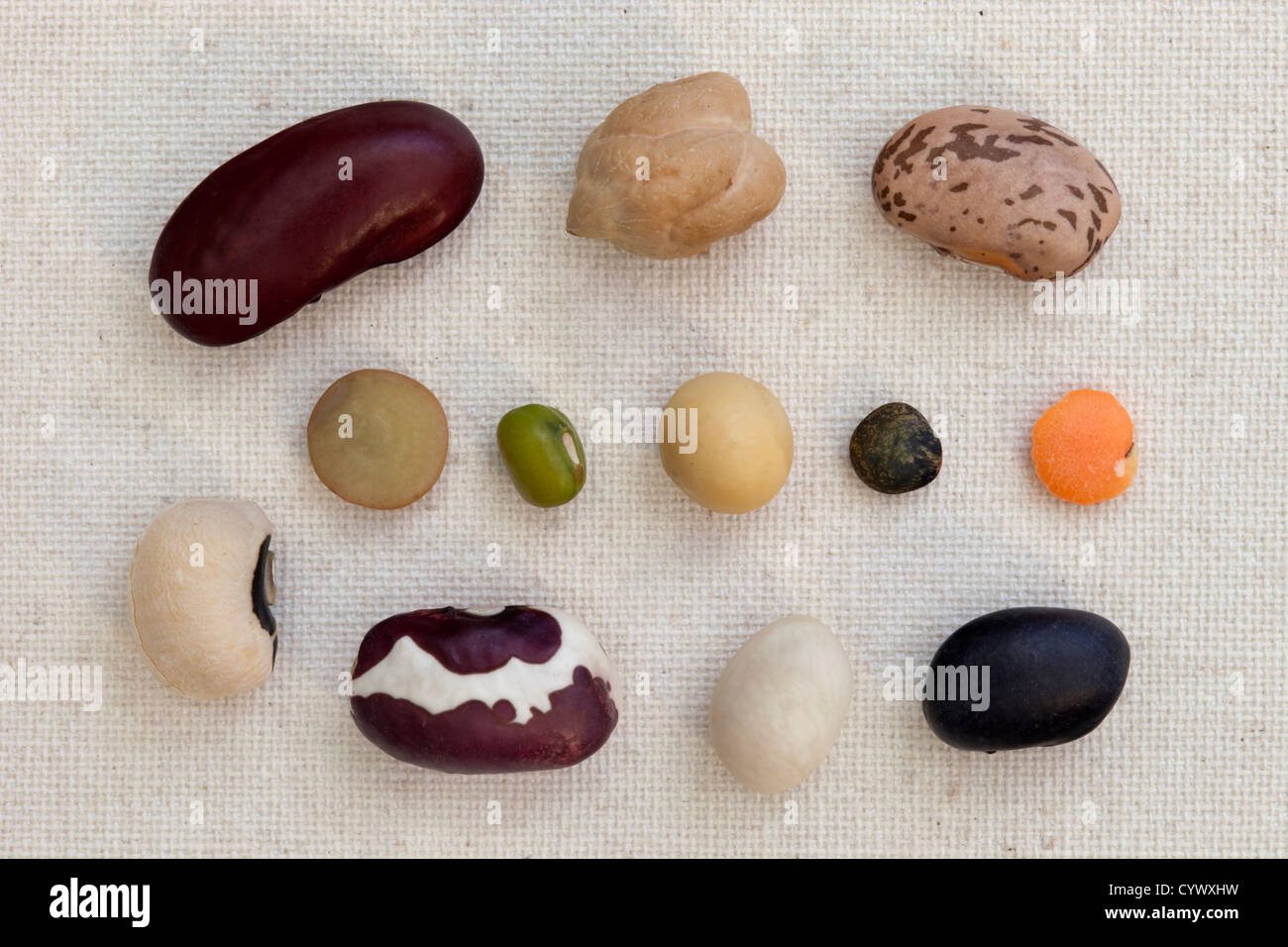 variety of beans and lentils on artist cotton canvas Stock Photo