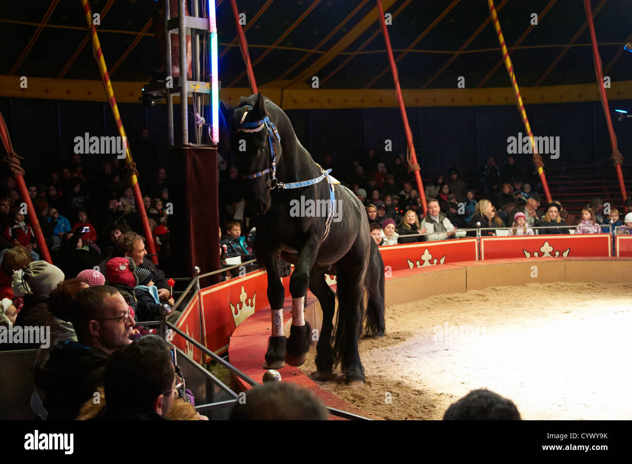 Circus show Stock Photo