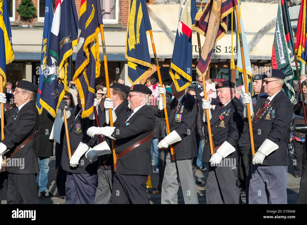 Old soldiers acting as standard bearers and marching at November 11th