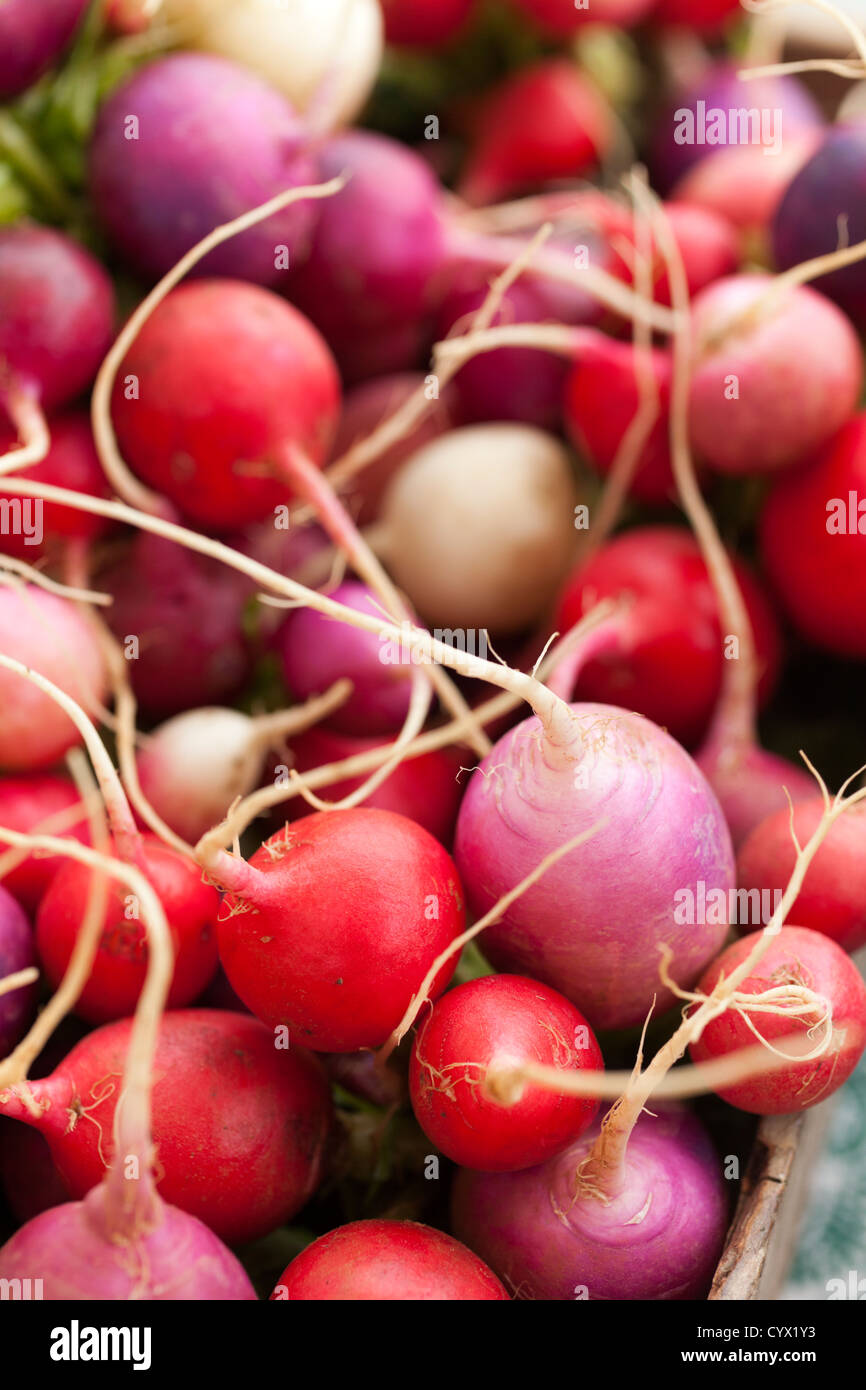 breakfast radishes Stock Photo Alamy