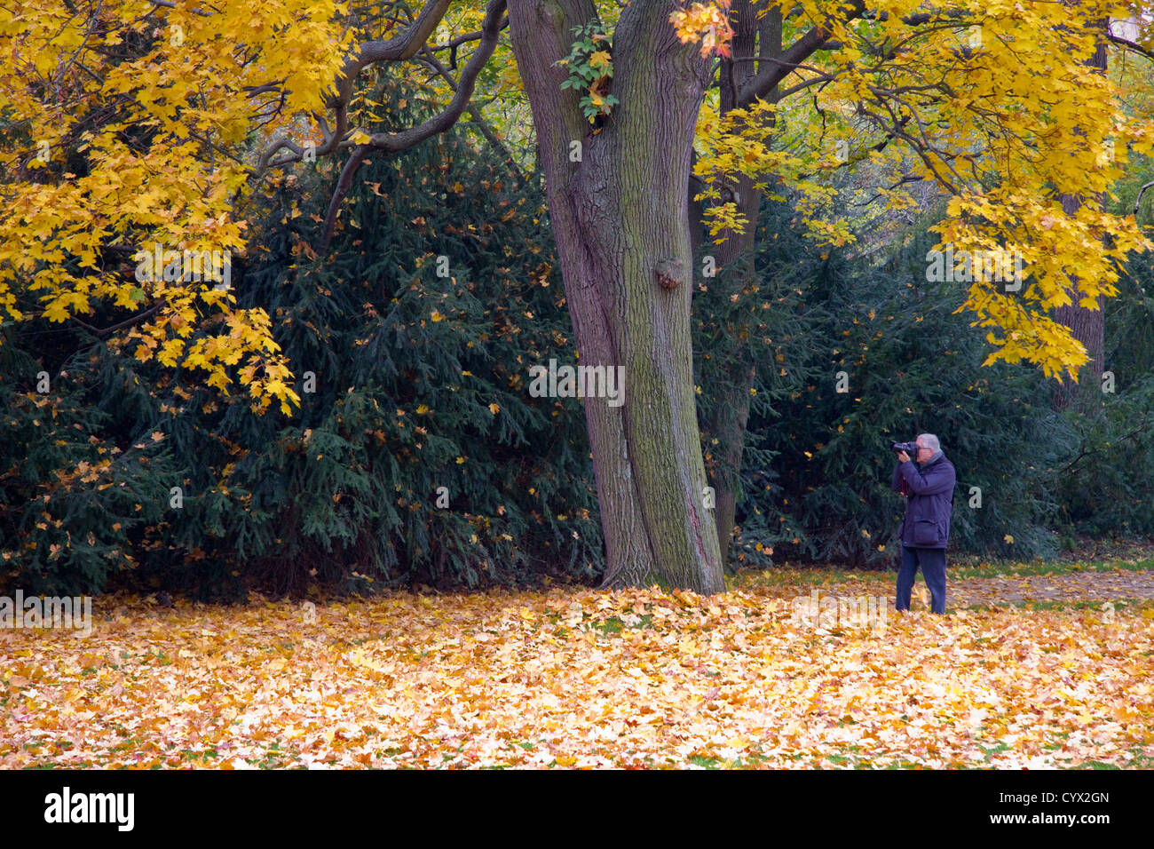 Czech mature hi-res stock photography and images - Alamy
