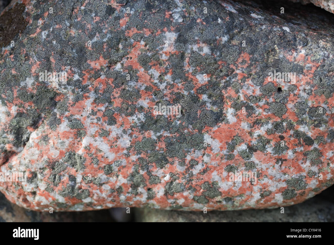 Pink Granite Boulder. Within a stone wall on Isle of Iona, Inner Hebrides, South West Scotland. Stock Photo