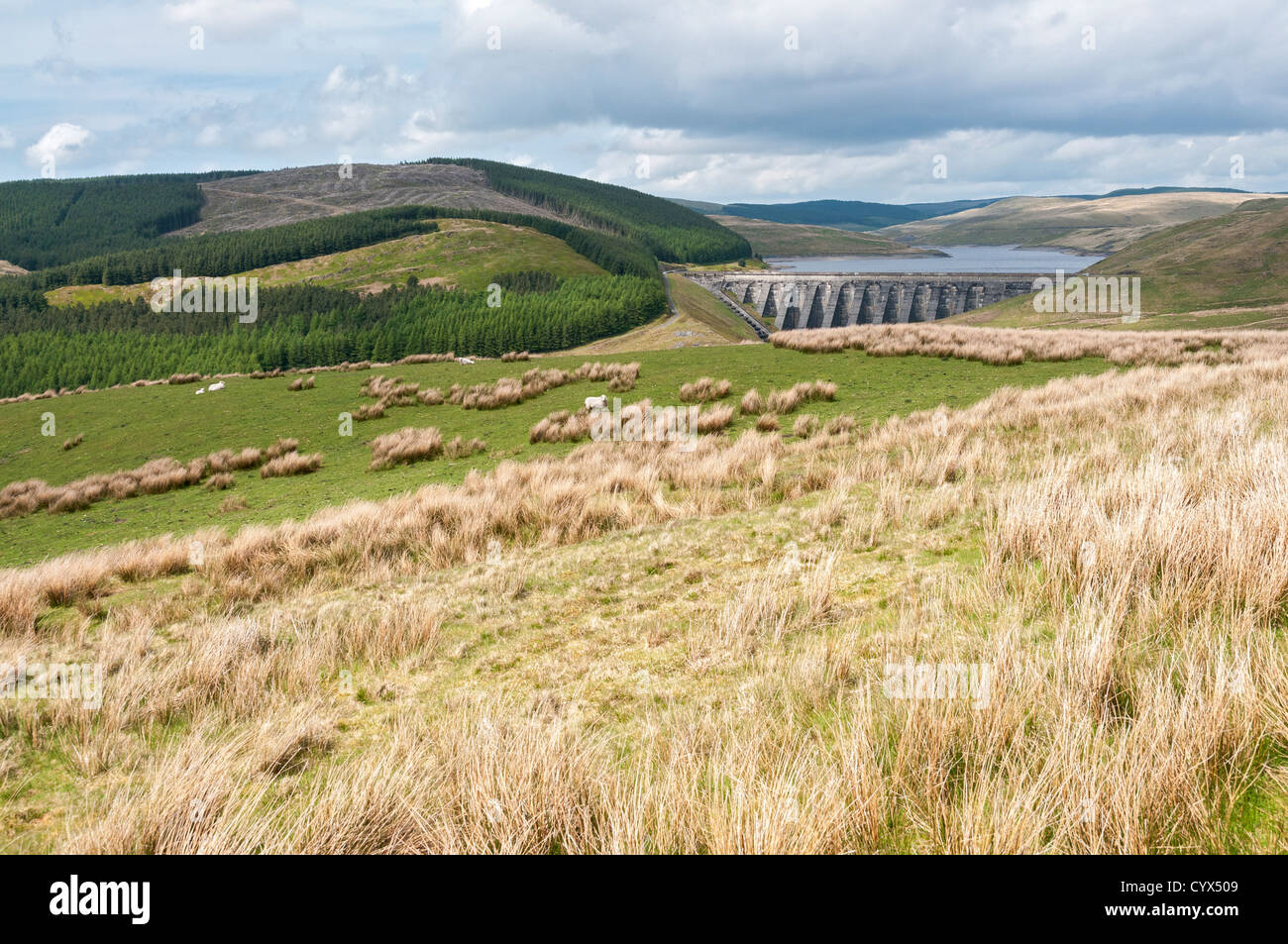 Nant-y-moch Reservoir located in Cambrian Mountains, northern Ceredigion, Wales Stock Photo