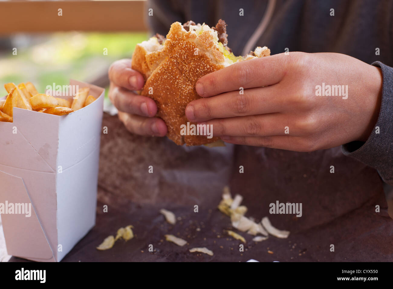 A close-up of a woman's hands holding a partly eaten hamburger with a side order of French fries. Stock Photo