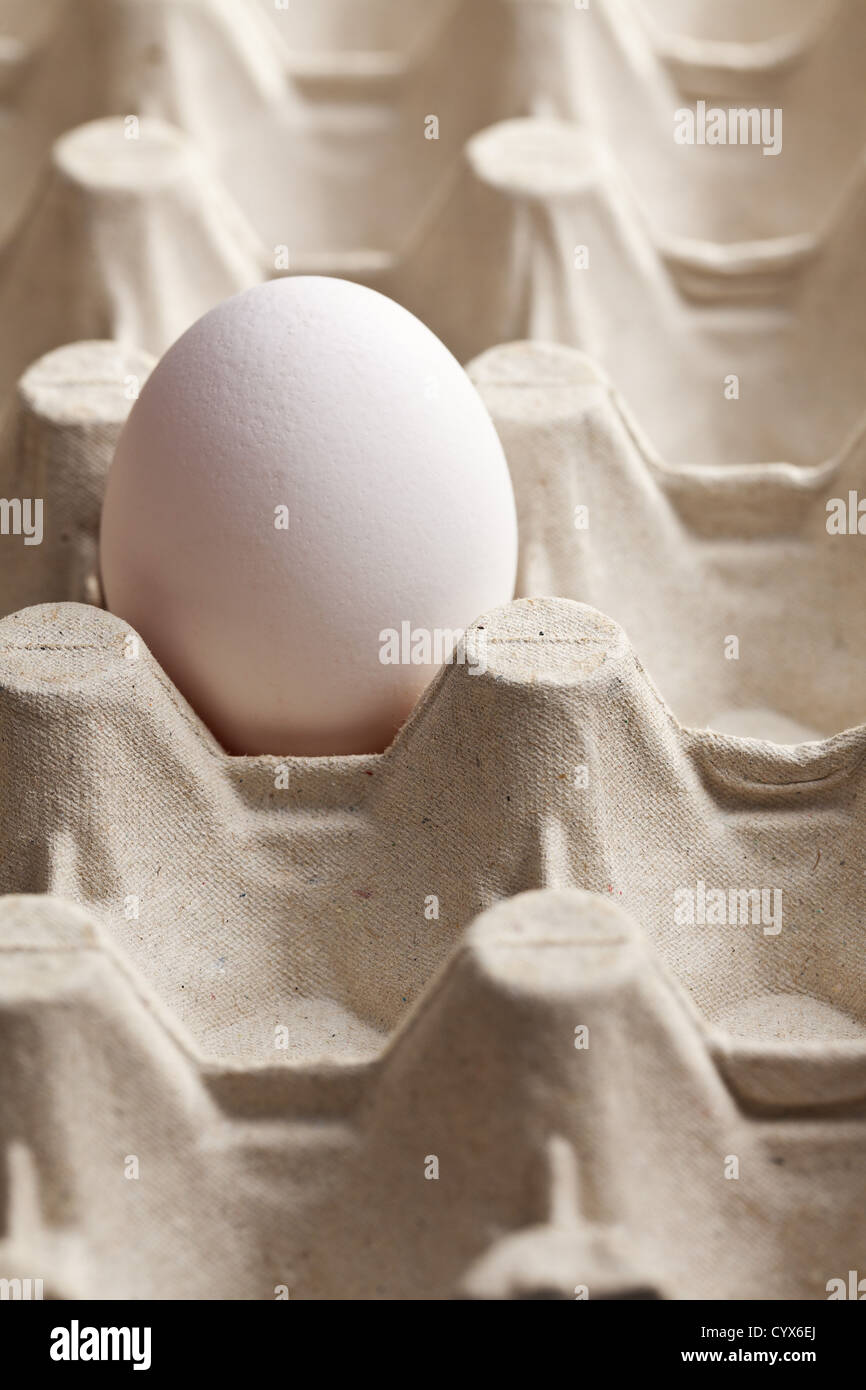 the white egg in carton Stock Photo - Alamy