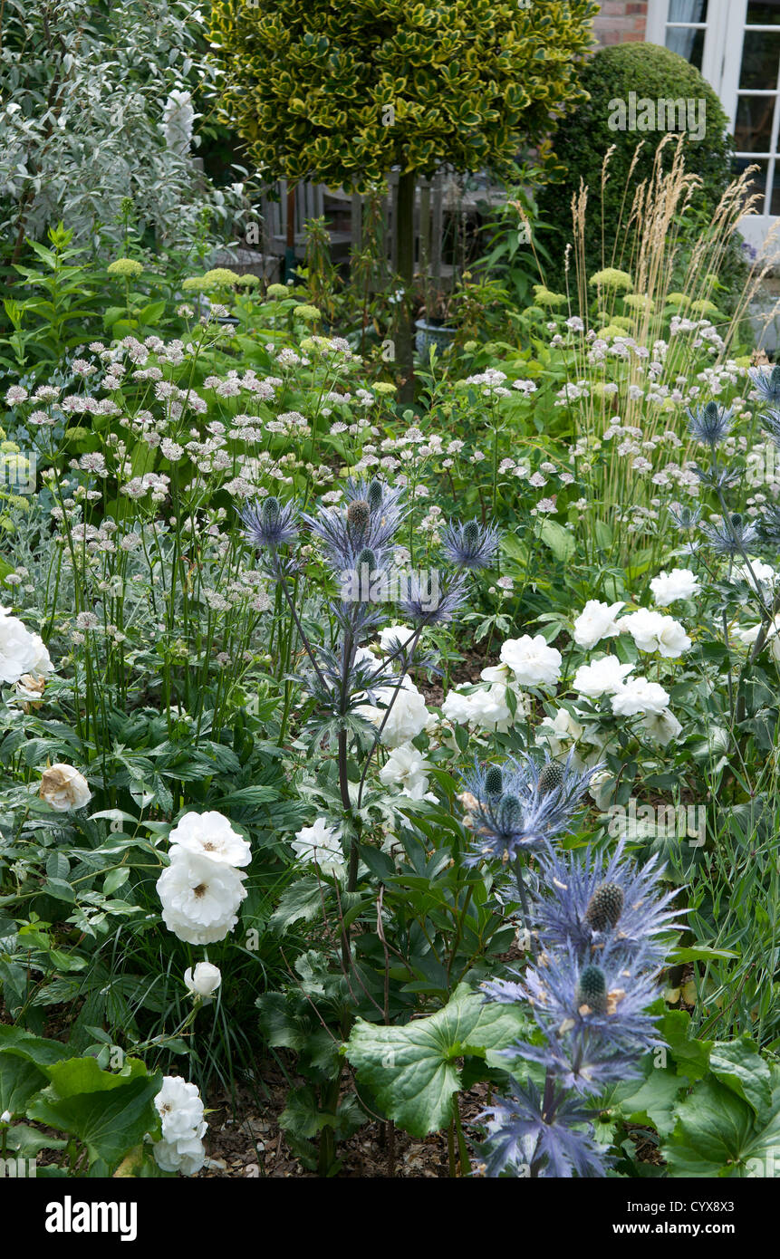 Flowers in cottage garden, England, UK Stock Photo - Alamy