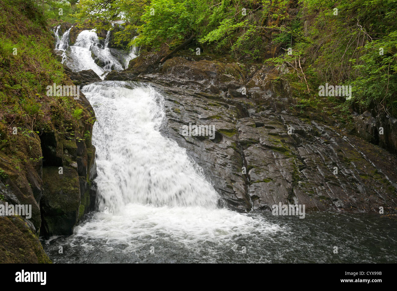 Wales, Snowdonia National Park, Betws-y-Coed, Swallow Falls Stock Photo