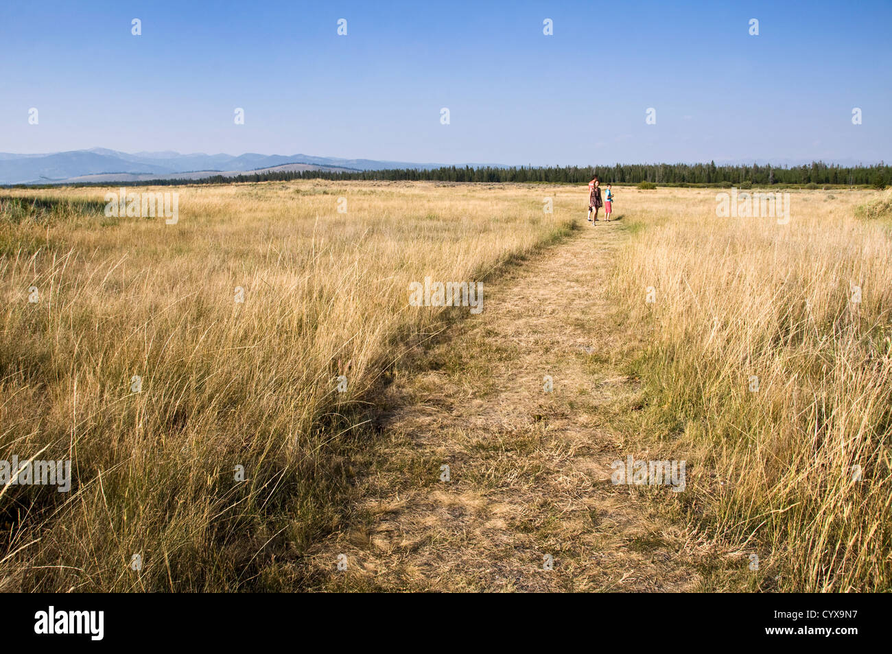 Family walking in a meadow - West Yellowstone - Montana, USA Stock Photo