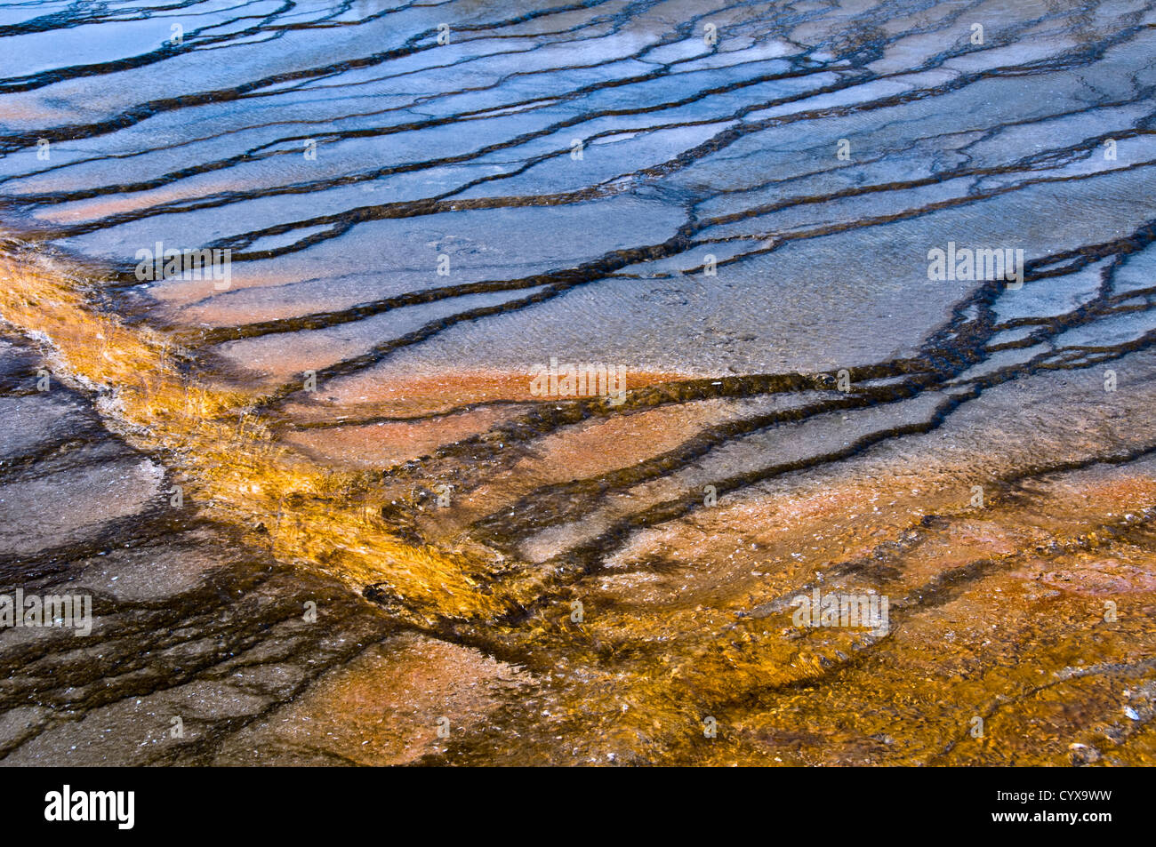 Detailed view of a hot spring - Midway Geyser Basin, Yellowstone national Park - Wyoming, USA Stock Photo