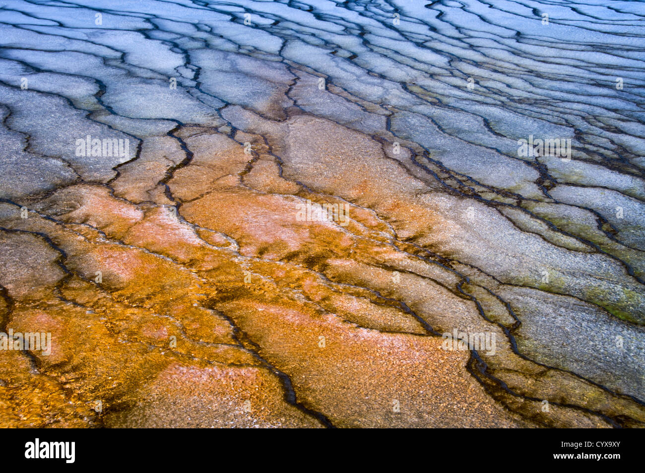 Detailed view of a hot spring - Midway Geyser Basin, Yellowstone national Park - Wyoming, USA Stock Photo