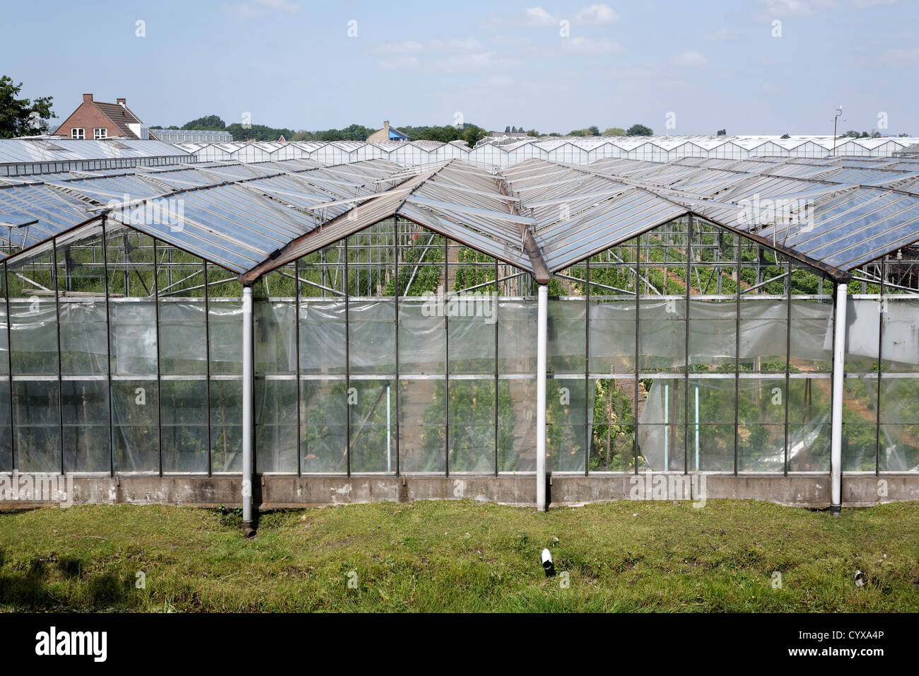 Netherlands, Zeeland, View of glass house Stock Photo Alamy