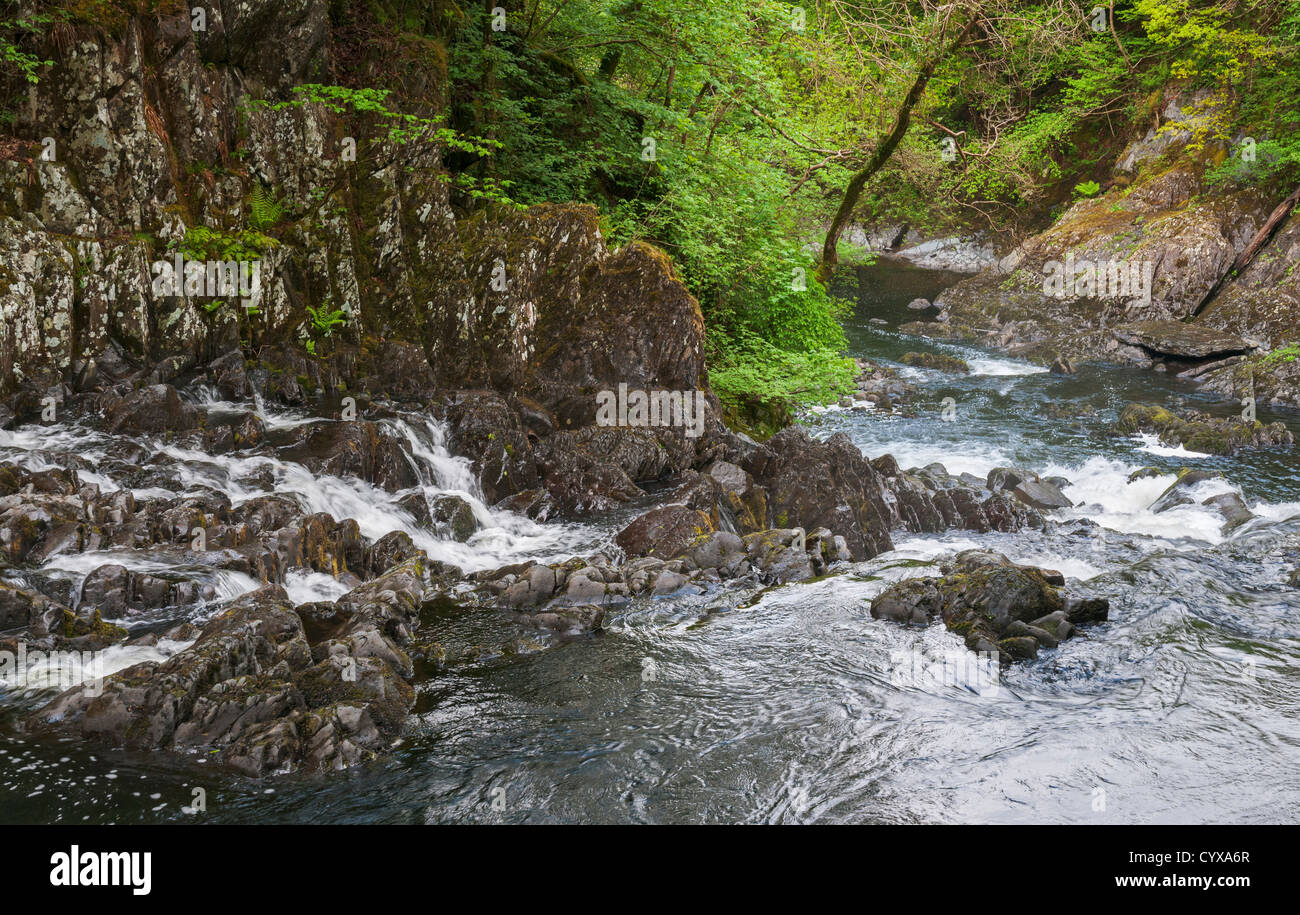 Wales, Snowdonia National Park, Betws-y-Coed, Swallow Falls Stock Photo