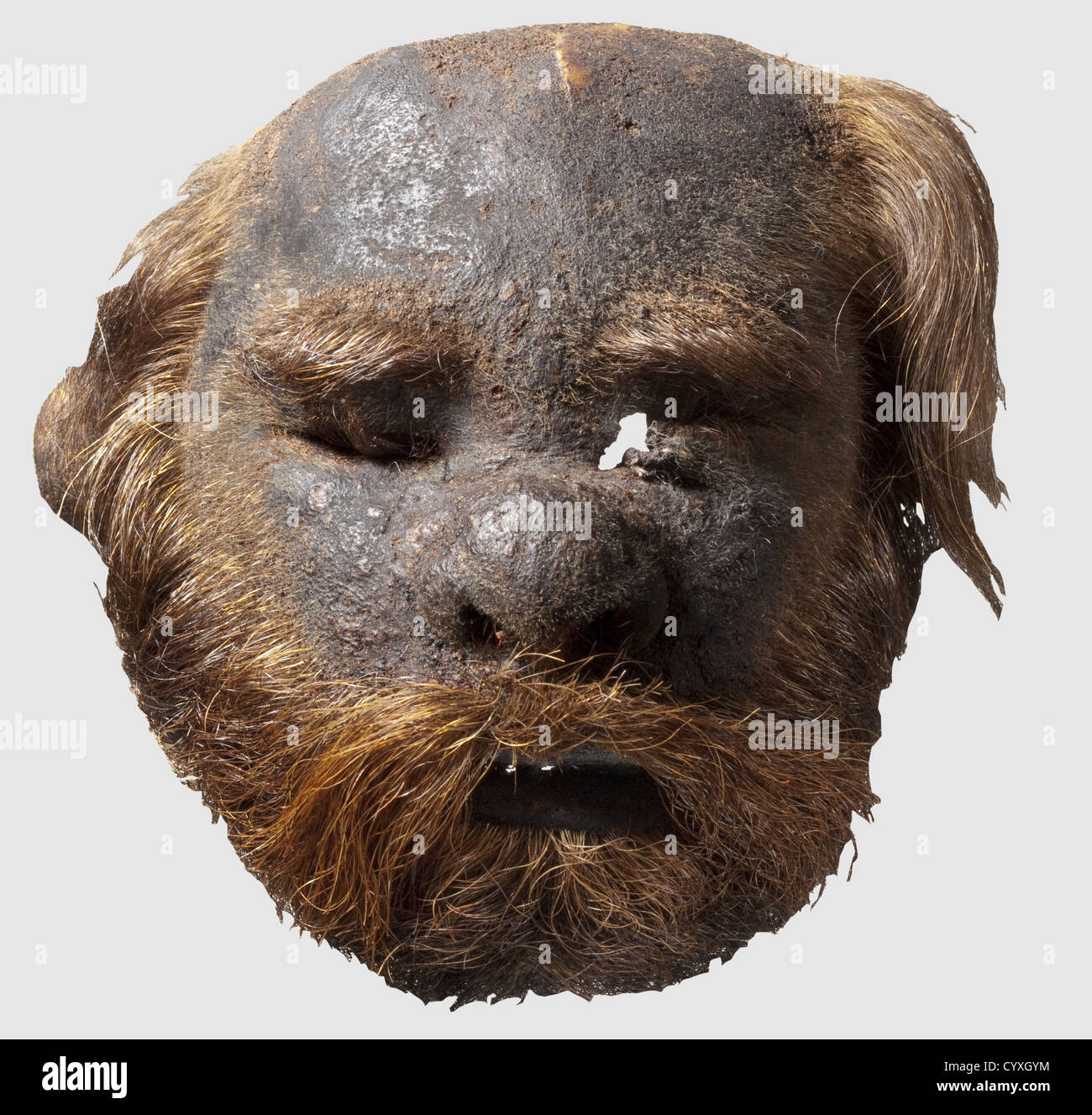 A shrunken head,20th Century Half-length dark brown to reddish hair on the head and a slightly receding hairline.Heavy,reddish beard,somewhat bleached on the edges.Eyes and mouth have traces of stitching.The backs of the scalp and of the neck were removed to allow the extraction of the skull.Height 12 cm.Although headhunting was and still is widespread in many parts of the world,according to scientific authority the preparation of shrunken heads is limited to the tribes that inhabit the north-western Amazonas region.Especially the Shuar,Achuar,Huamb,Additional-Rights-Clearences-Not Available Stock Photo