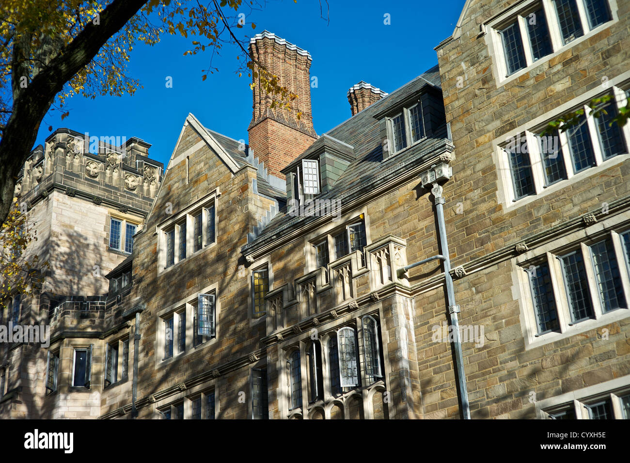 Yale Campus High Resolution Stock Photography And Images Alamy Yale Campus High Resolution Stock Photography And Images Alamy