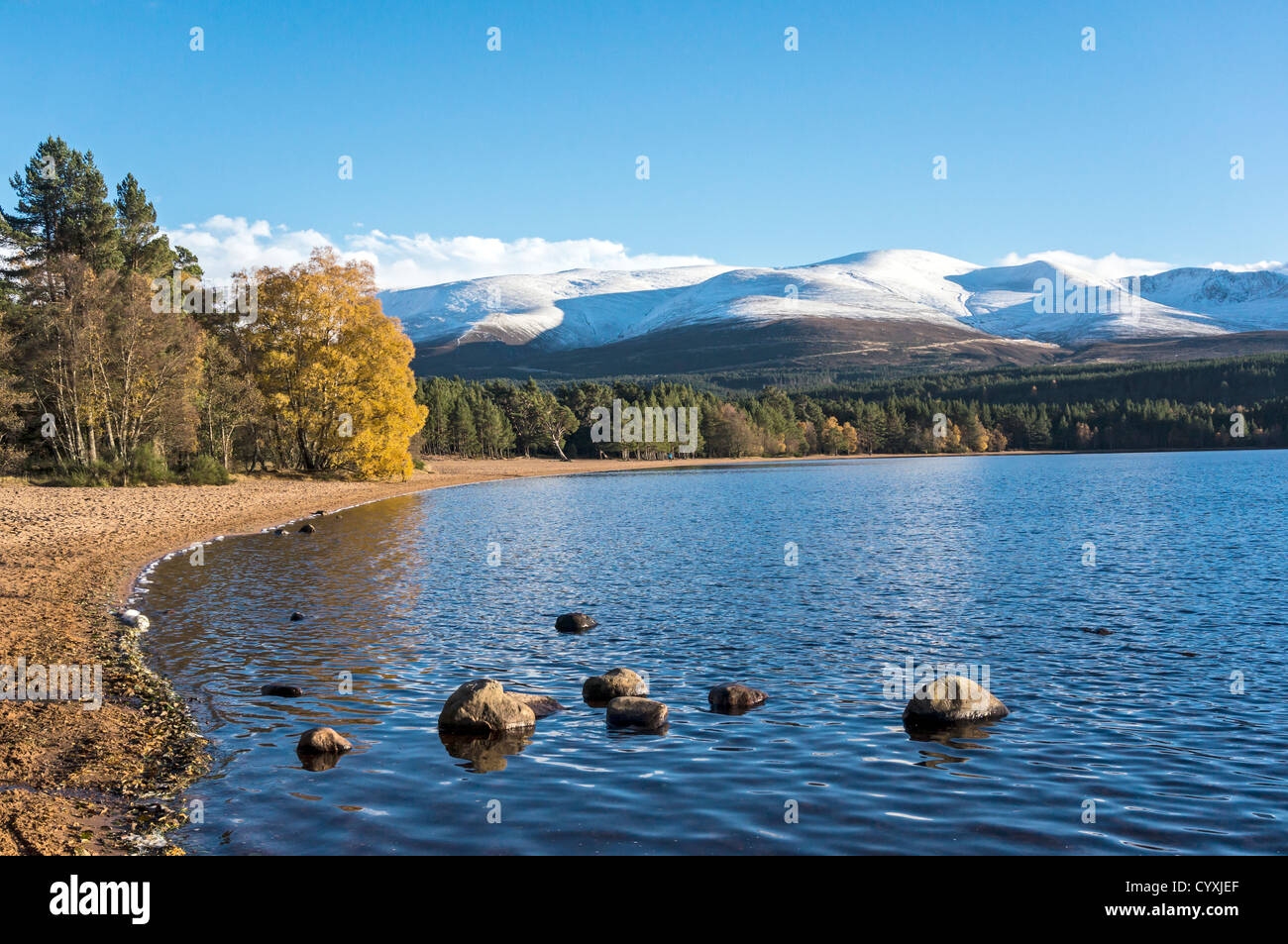 Loch Morlich in the Cairngorms region of Scotland on a calm and sunny autumn day with snow covered Cairn Gorm  mountain Stock Photo