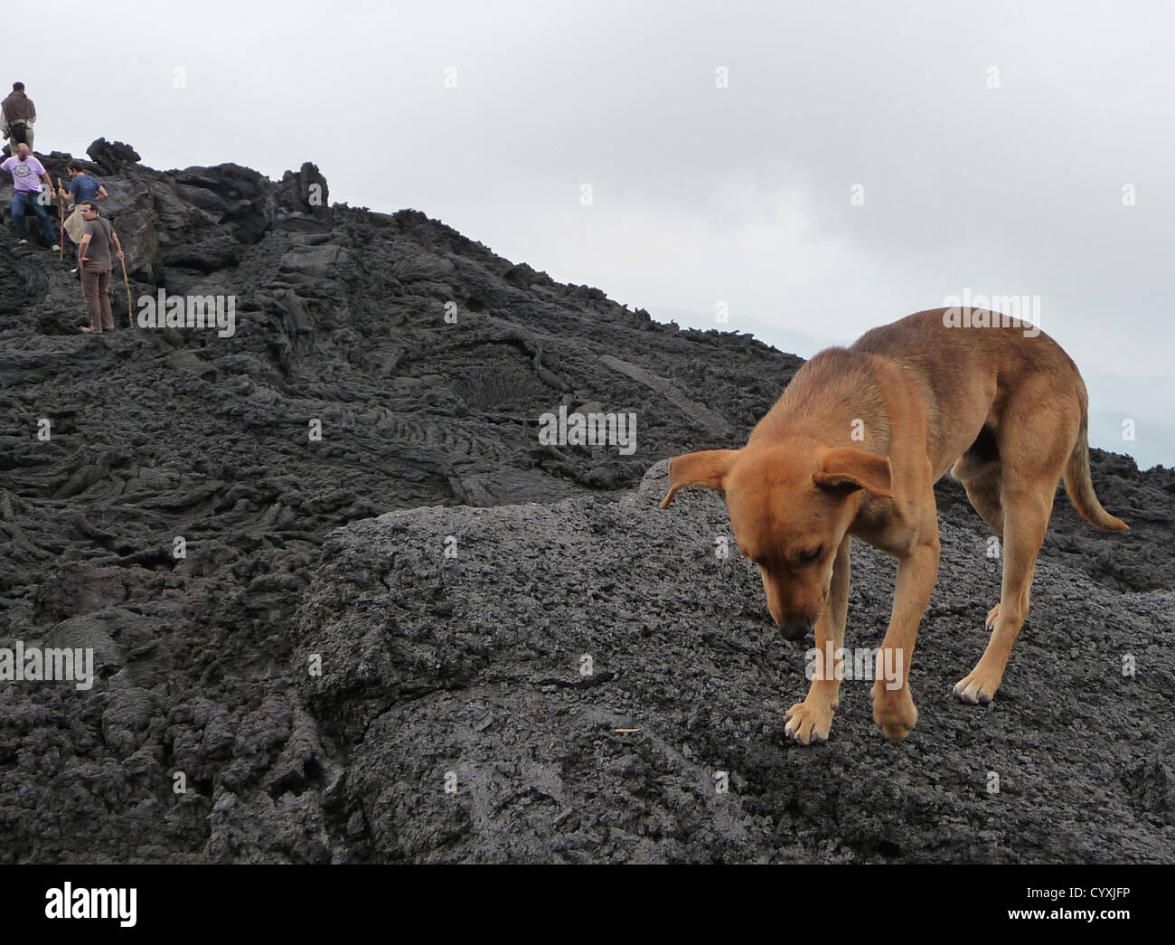 Climbing a fresh lava field in Guatemala - volcanic action - the dog has the sense to go back ! Stock Photo