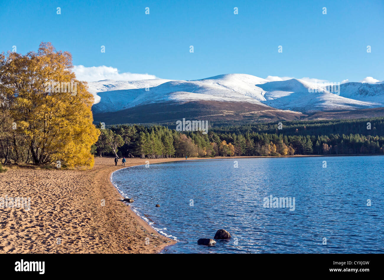 Loch Morlich in the Cairngorms region of Scotland on a calm and sunny autumn day with snow covered Cairn Gorm  mountain left Stock Photo