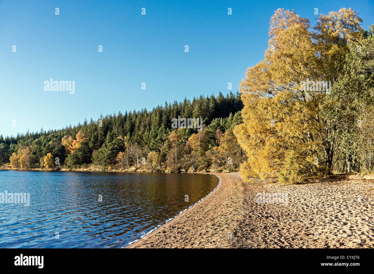Loch Morlich and beach in the Cairngorms region of Scotland on a calm and sunny autumn day Stock Photo