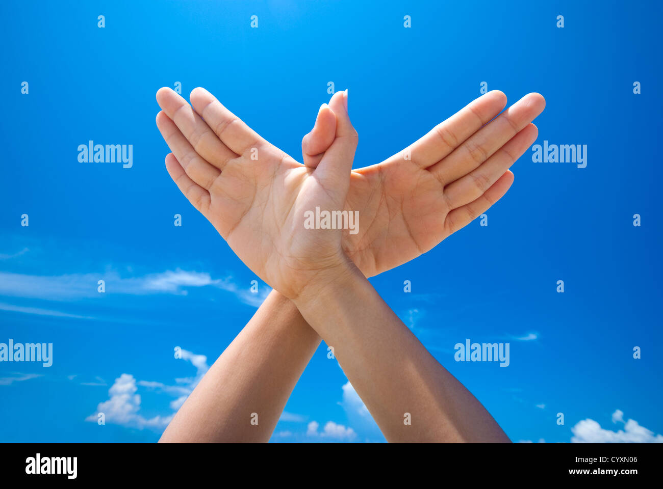 Conceptual hand gesture of world peace Stock Photo