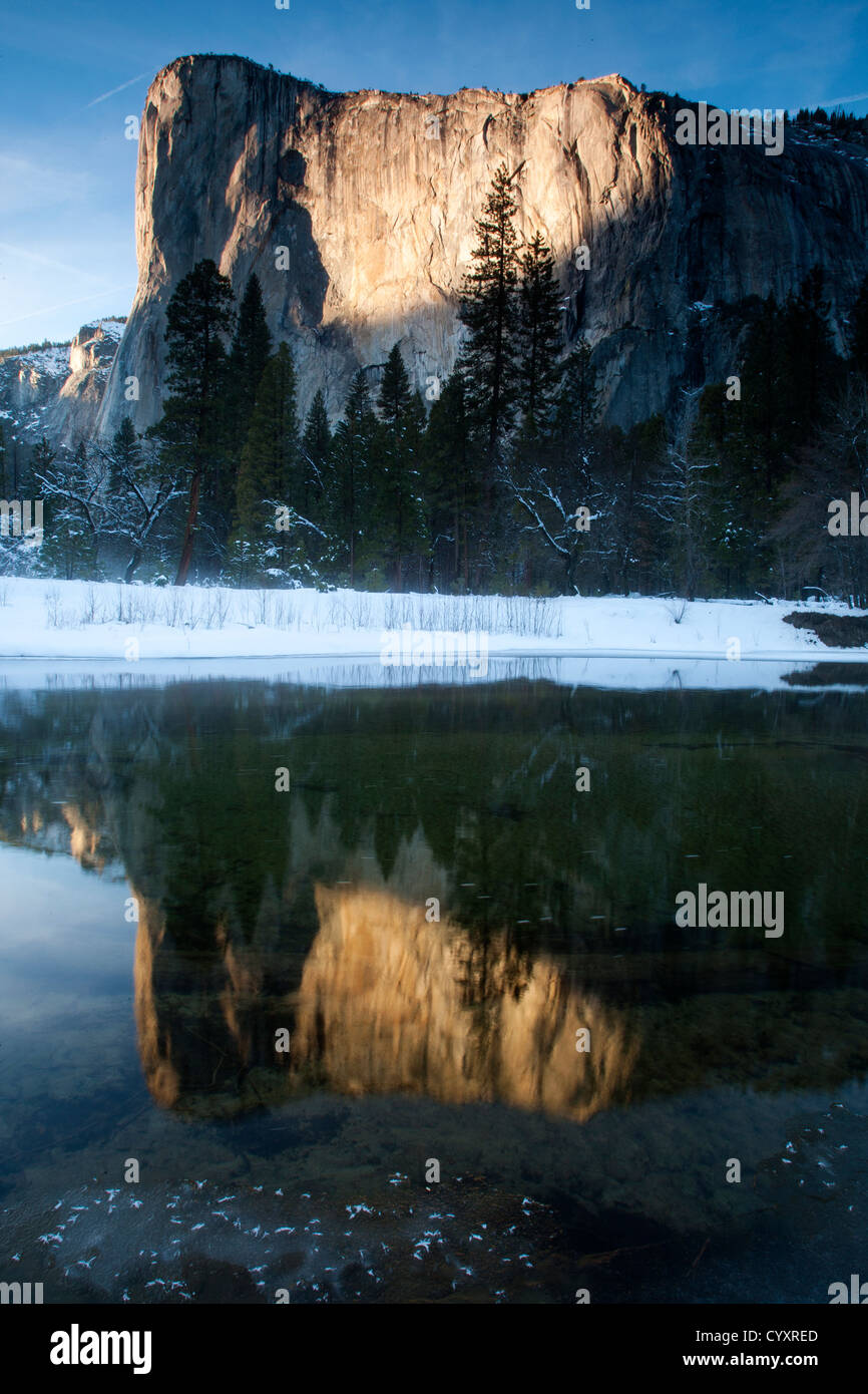 Reflection of El Capitan in the Merced River in Yosemite National Park, California. Stock Photo