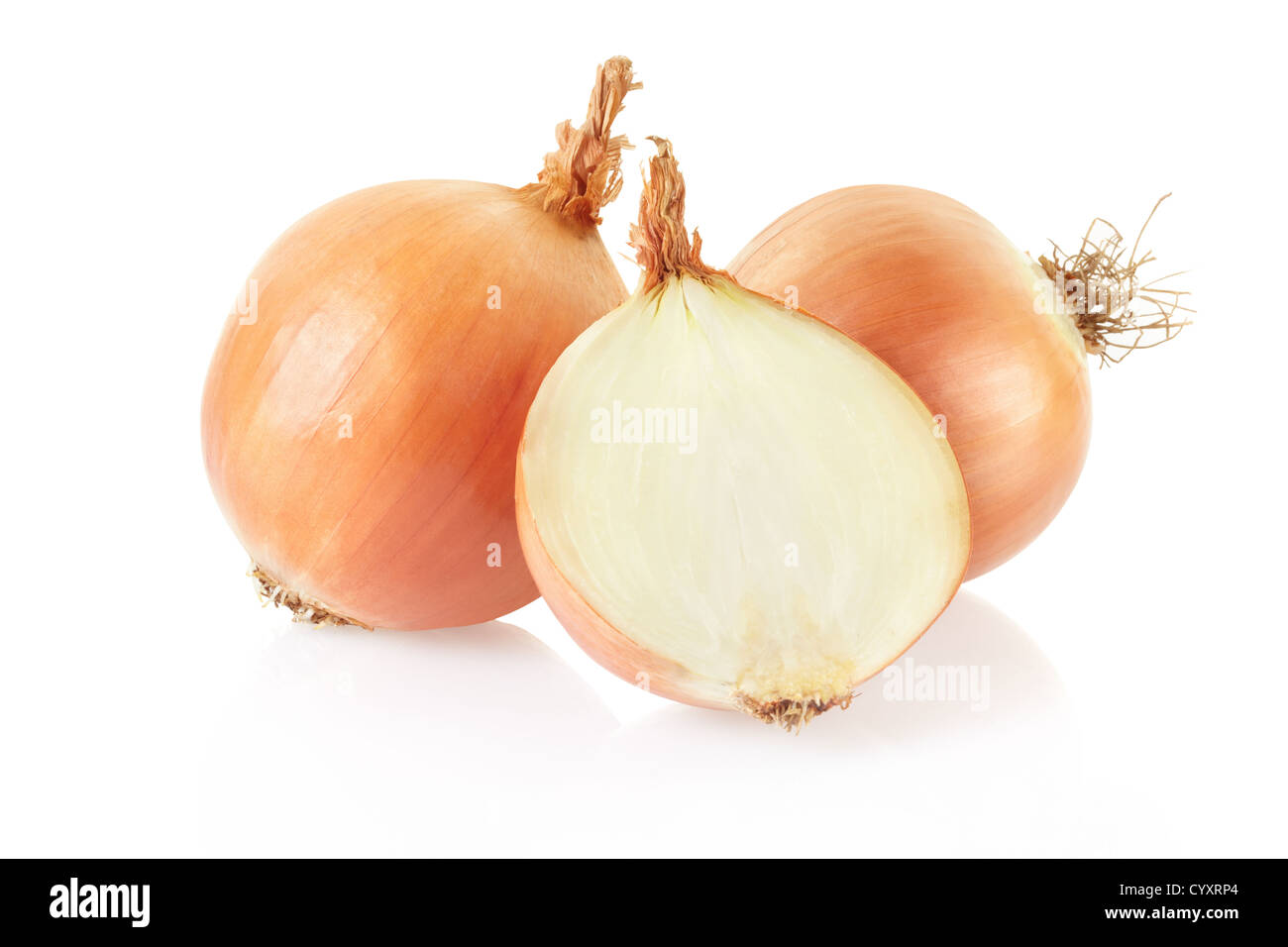 Onion and section Stock Photo