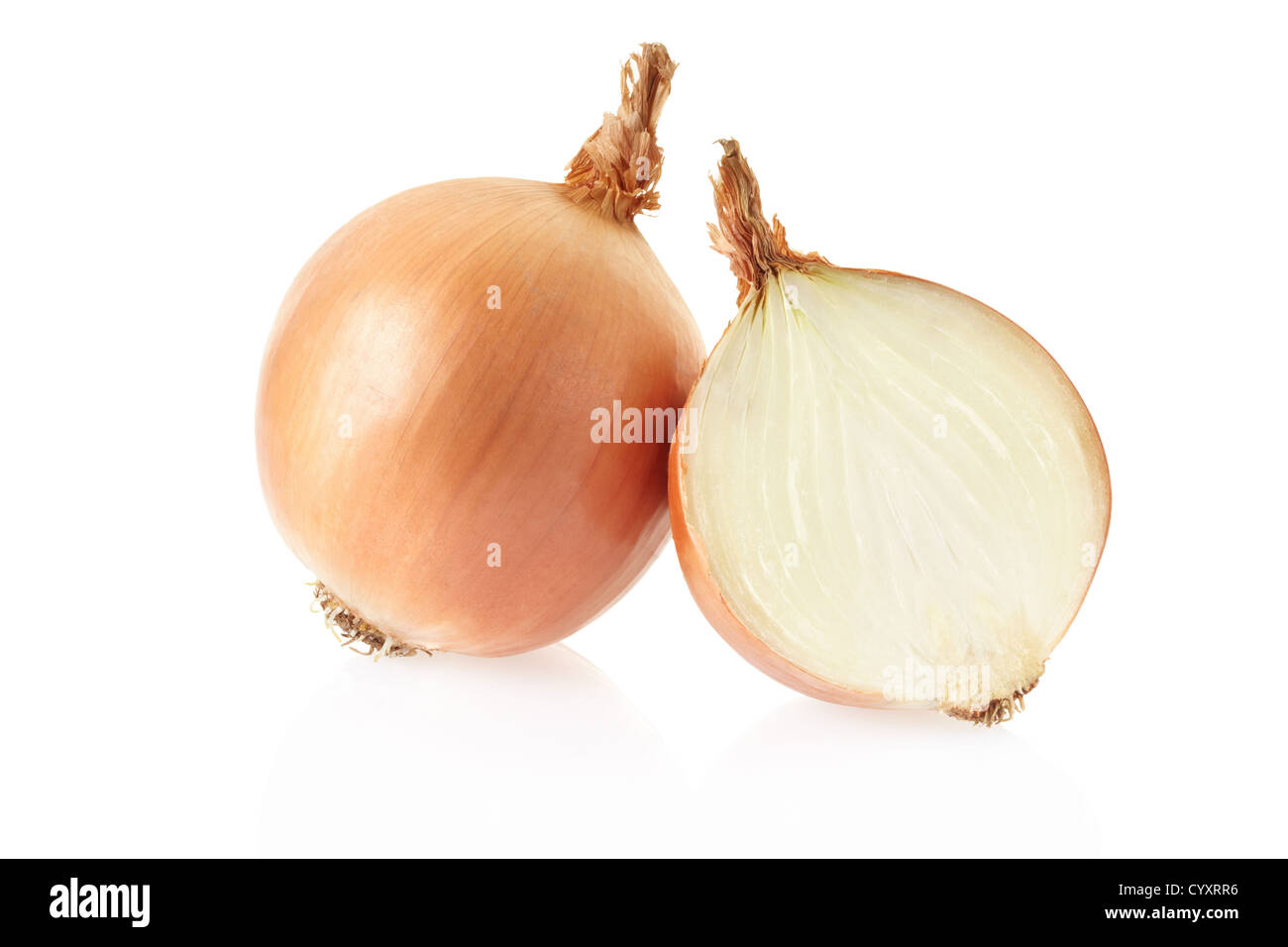 Onion and section Stock Photo