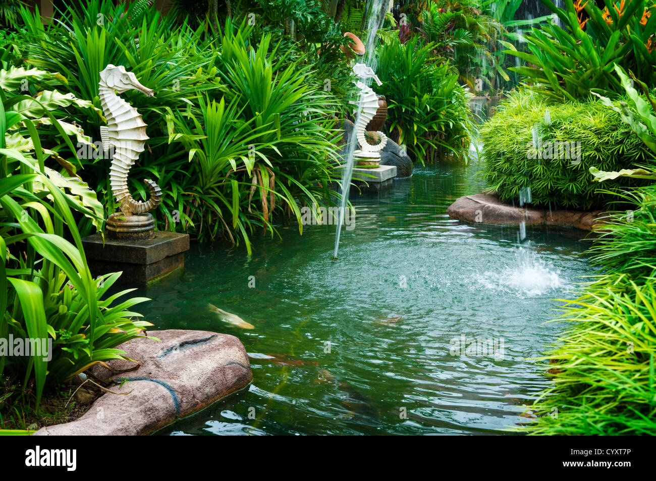 Tropical zen garden view with fountain and green plants Stock Photo Alamy
