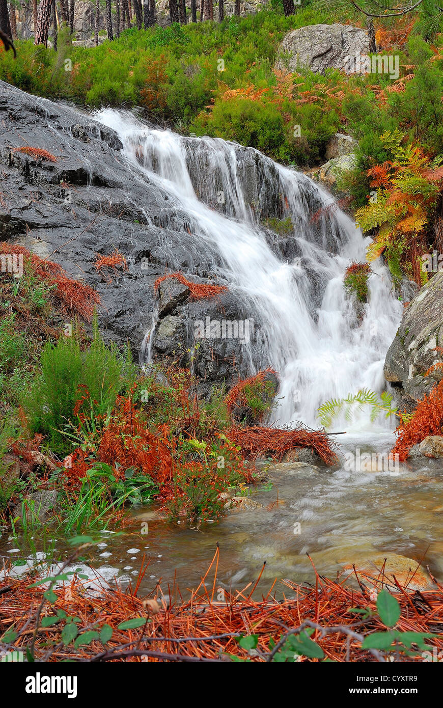 La petite cascade hi-res stock photography and images - Alamy