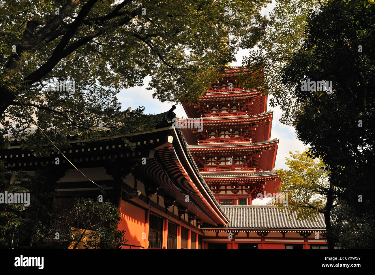 The pagoda at Senso-ji temple seen through a screen of trees, Asakusa, Tokyo, Japan Stock Photo