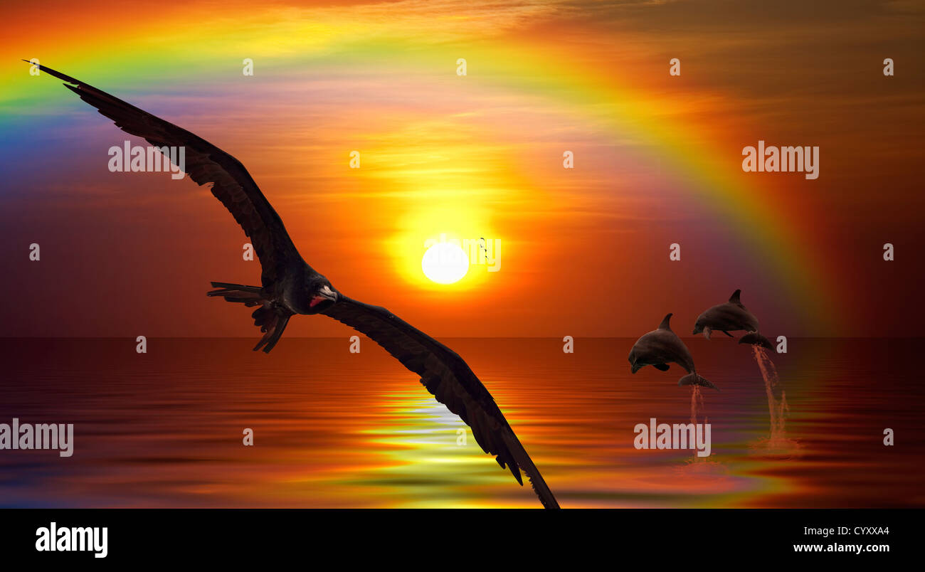 Fantasy picture of a bird flying, and dolphins jumping in the sunset Stock Photo