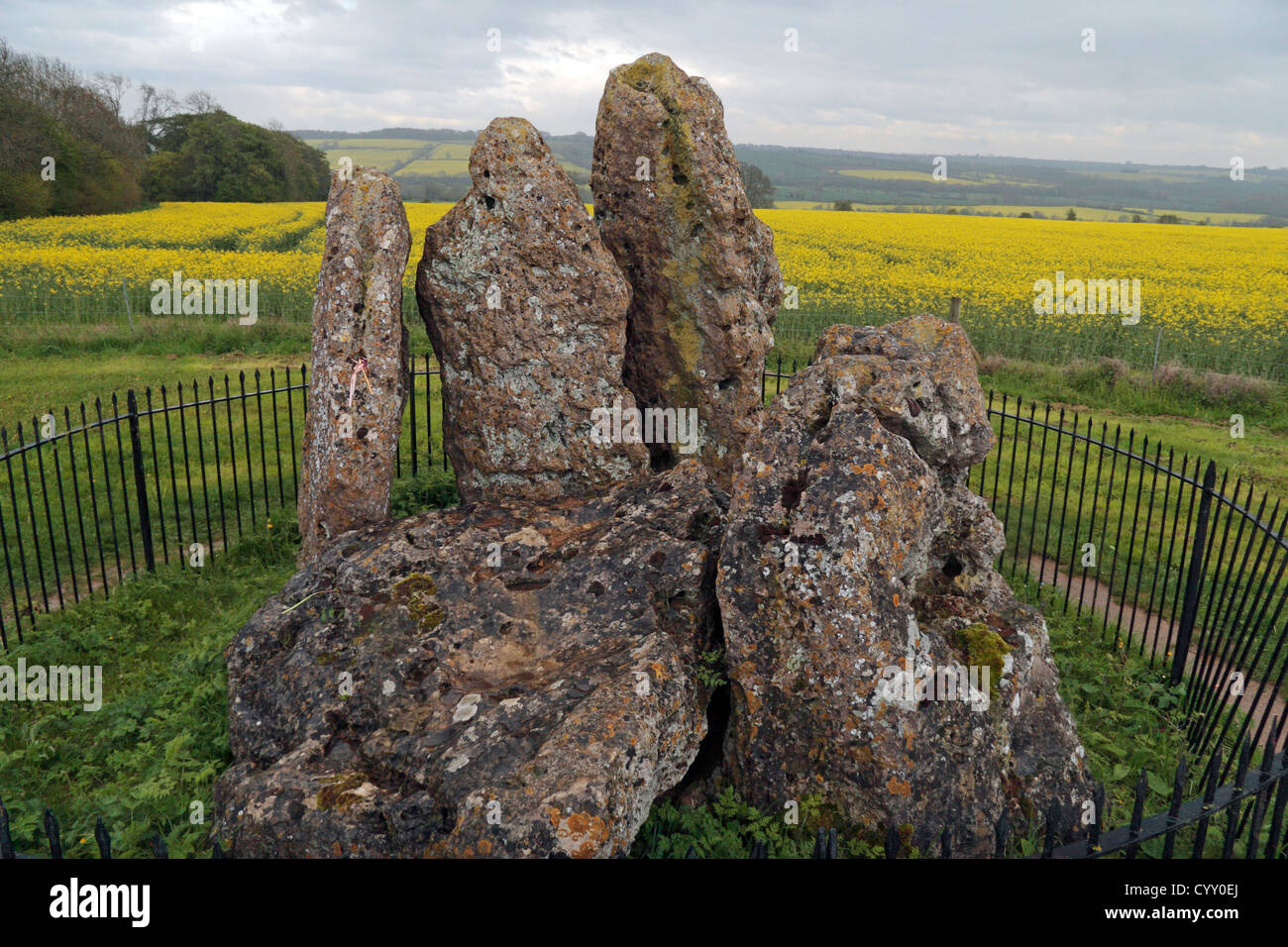 The Whispering Knights burial chamber, part of the Rollright Stones, near Chipping Norton, Oxfordshire, UK. Stock Photo