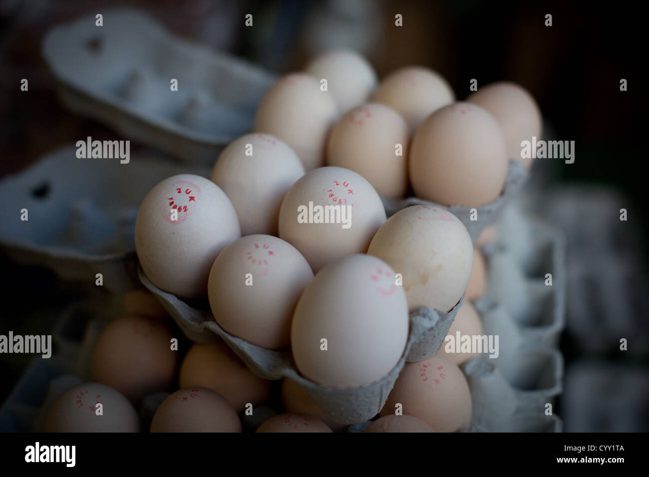 Eggs for sale at a farmers market Stock Photo Alamy