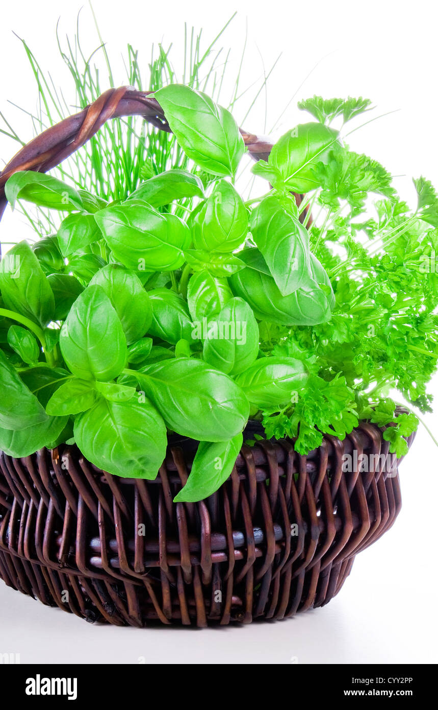 Parsley chive hi-res stock photography and images - Alamy