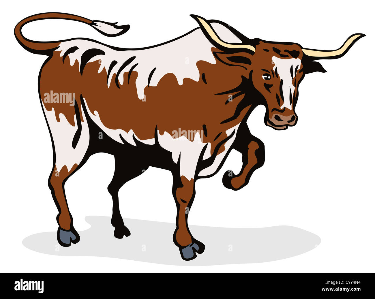 Illustration of a raging bull charging attacking on isolated white  background Stock Photo - Alamy, image size:1300x1037