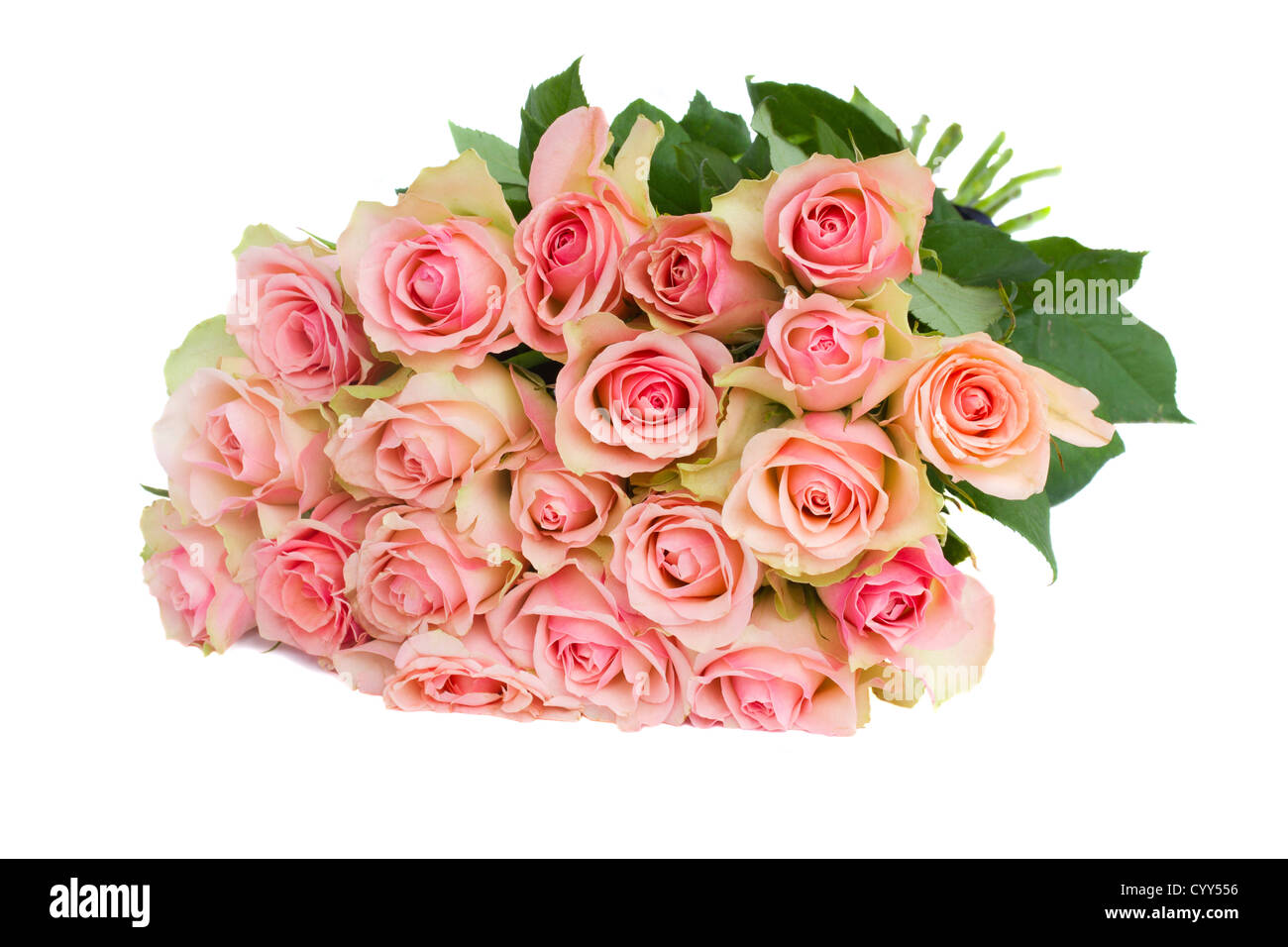 bouquet of pink roses isolated on white background Stock Photo - Alamy