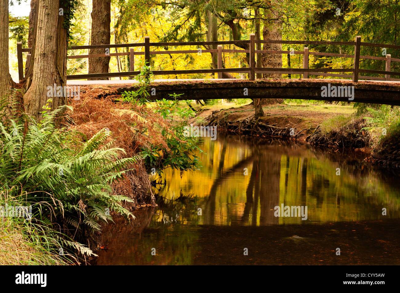 A view under the roadbridge with autumn colours reflected in the river blackwater The New Forest Hampshire England UK Stock Photo